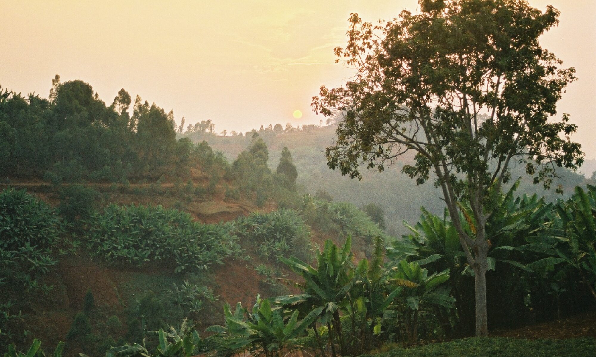 Ruanda | Land der tausend Hügel